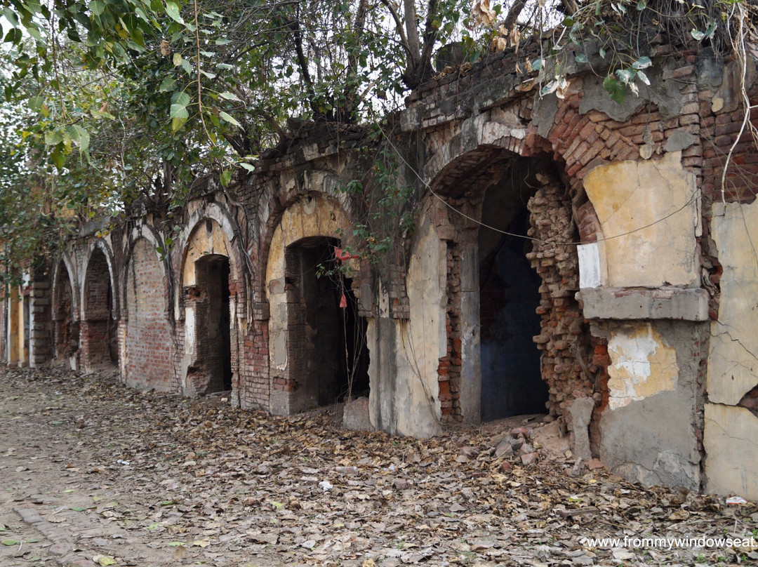 Lodhi Fort-卢迪亚纳必去景点