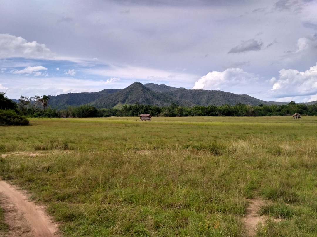 Taman Nasional Rawa Aopa Watumohai景点图片