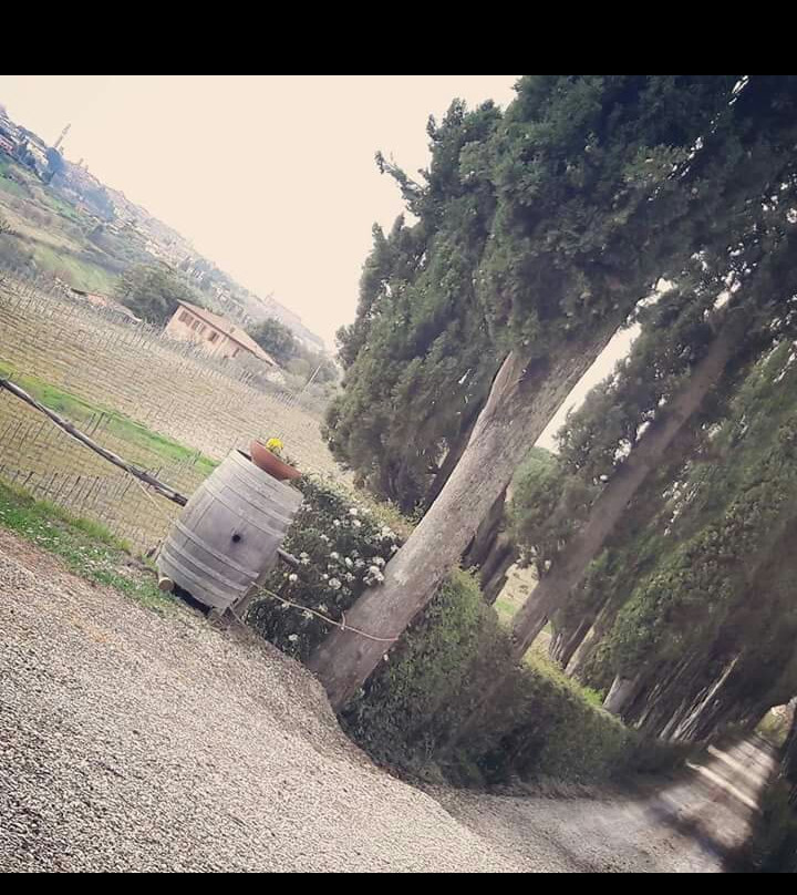 Az. Agr Castel di Pugna-锡耶纳必去景点