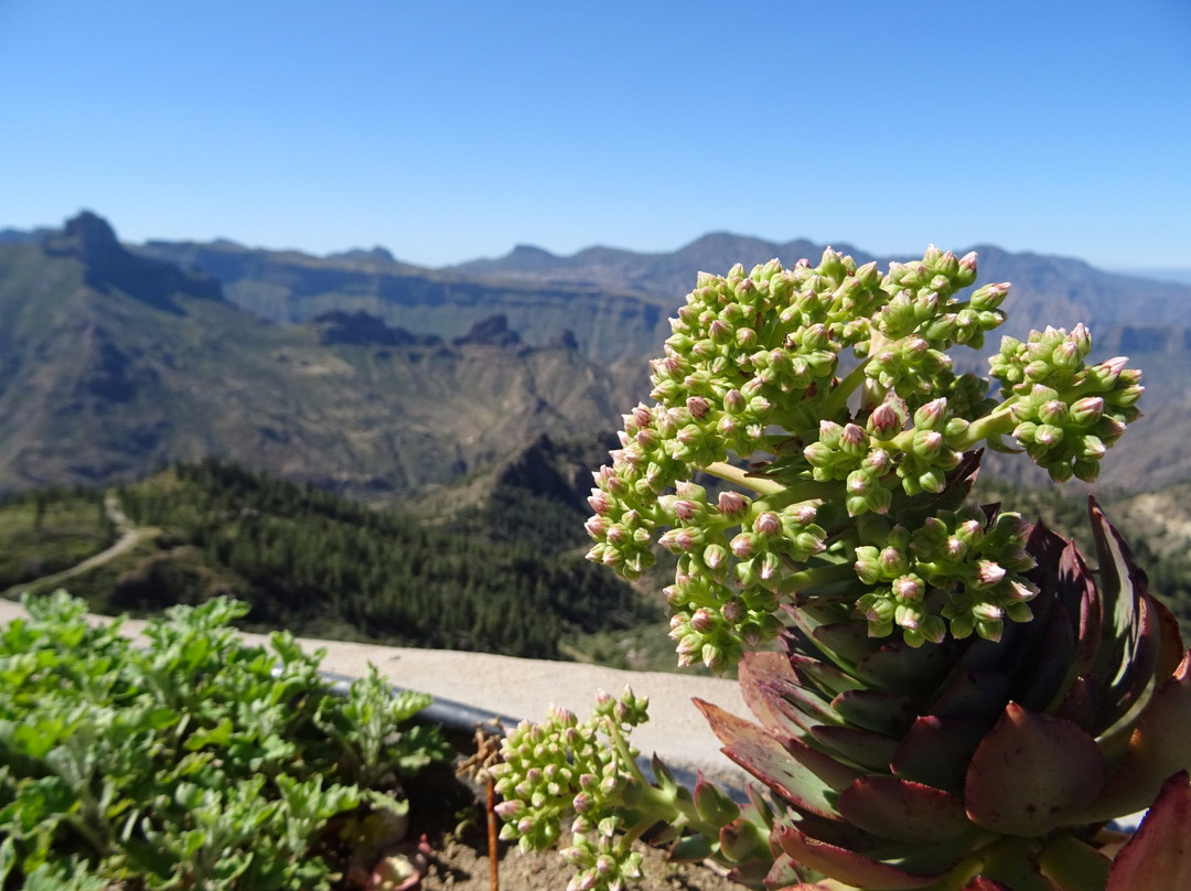 Mirador de Unamuno景点图片