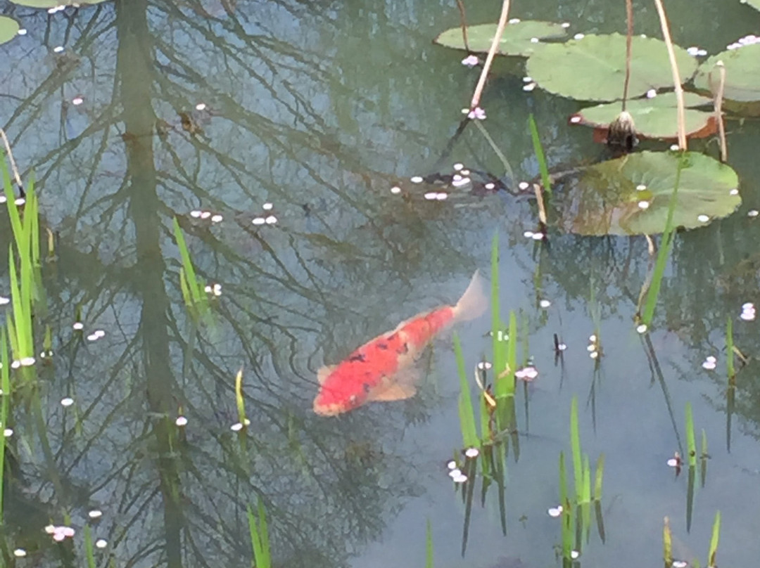 Gwangju Family Land-光州必去景点