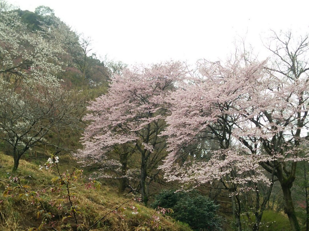 Tama Forest Science Garden-八王子市必去景点