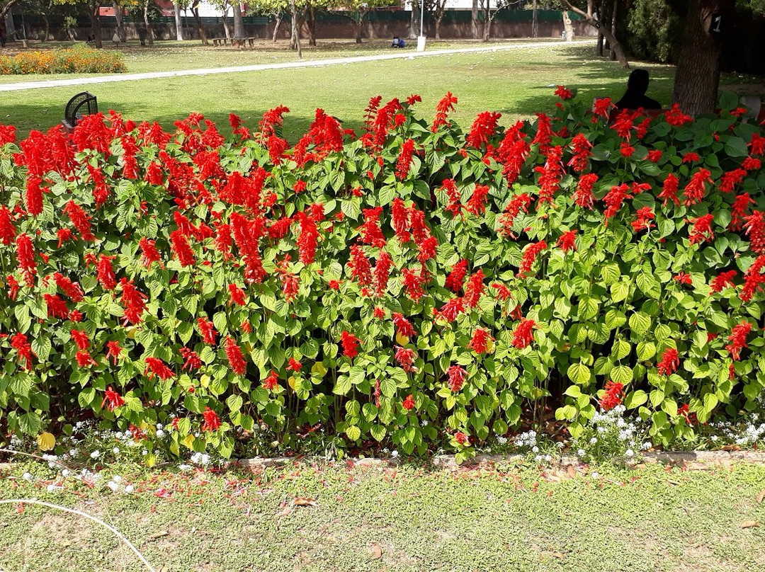 Shanti Kunj-昌迪加必去景点