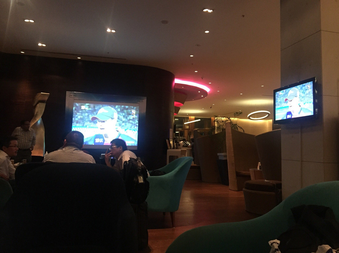 The Bar at Novotel Hyderabad-海德拉巴必去景点