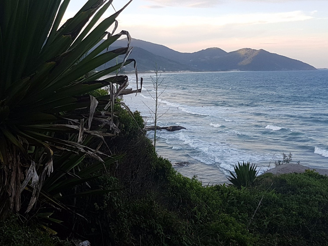 Praia de Morrinhos-Garopaba必去景点