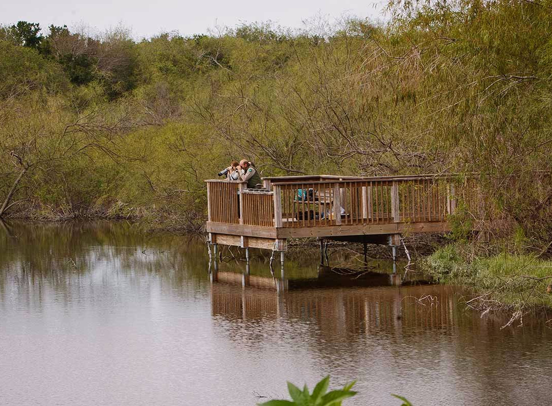 Resaca de la Palma State Park-布朗斯维尔必去景点