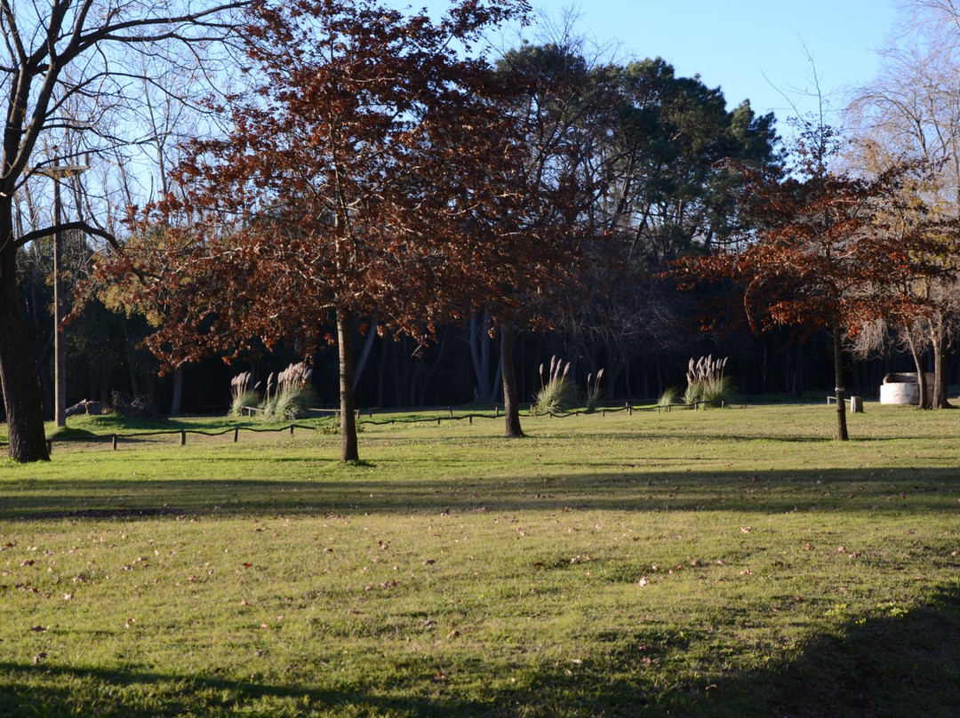 Parque Municipal General San Martin景点图片