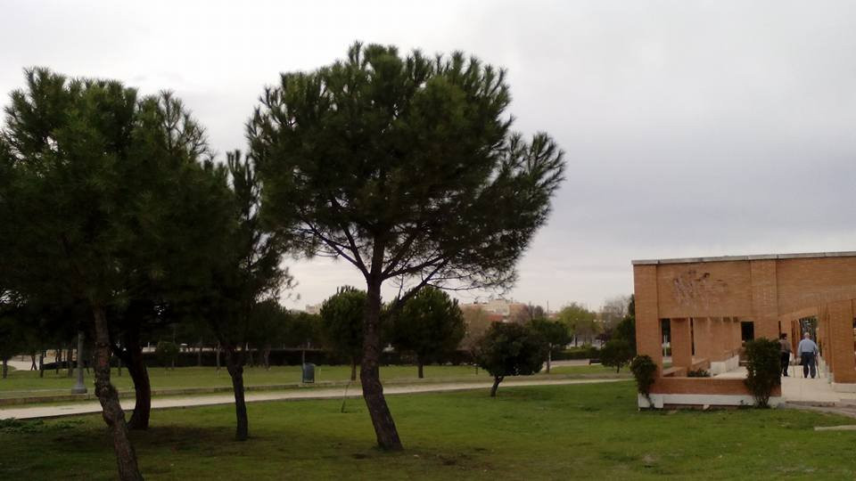 Parque Municipal Juan Carlos I-品度必去景点