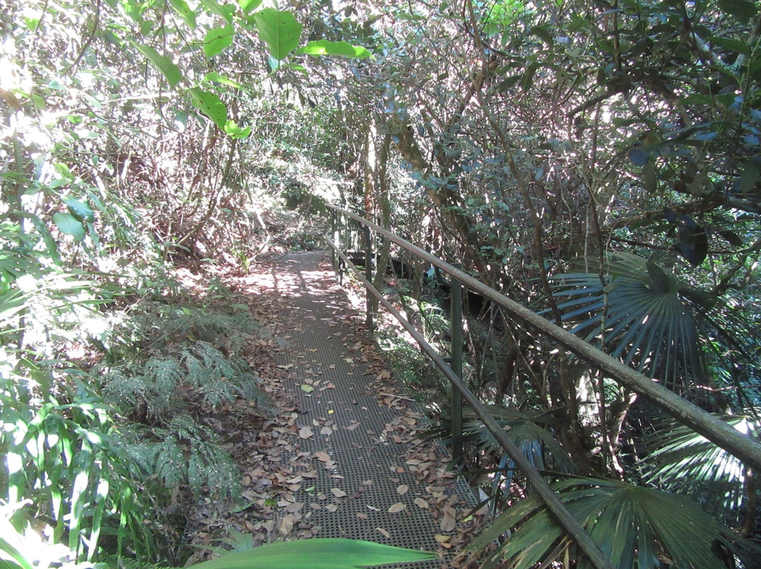 Macquarie Pass National Park景点图片