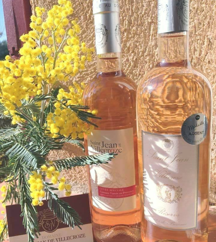 Domaine Saint Jean de Villecroze景点图片