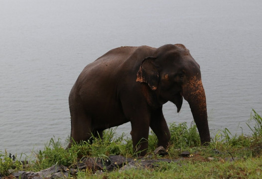 SriLankan Guru-科伦坡必去景点