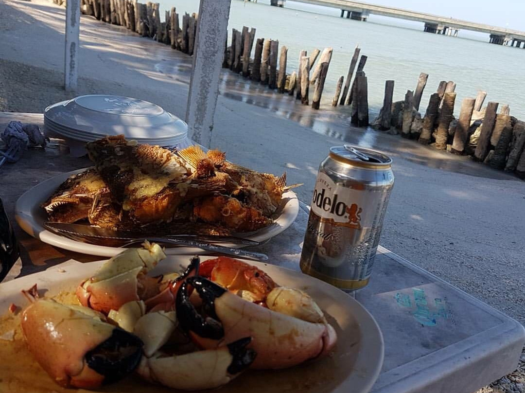 Playa Punta San Julian-卡门城必去景点