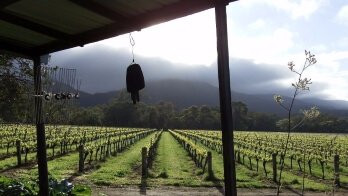 Mount Barker Visitor Centre-Mount Barker必去景点