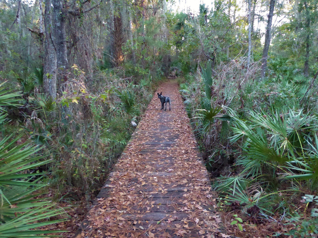 Seminole State Forest景点图片