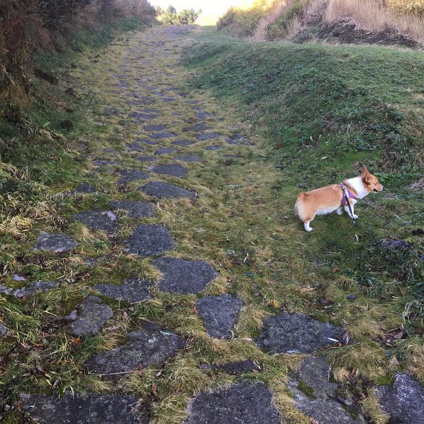 Futae Toge no Ishidatami-阿苏市必去景点