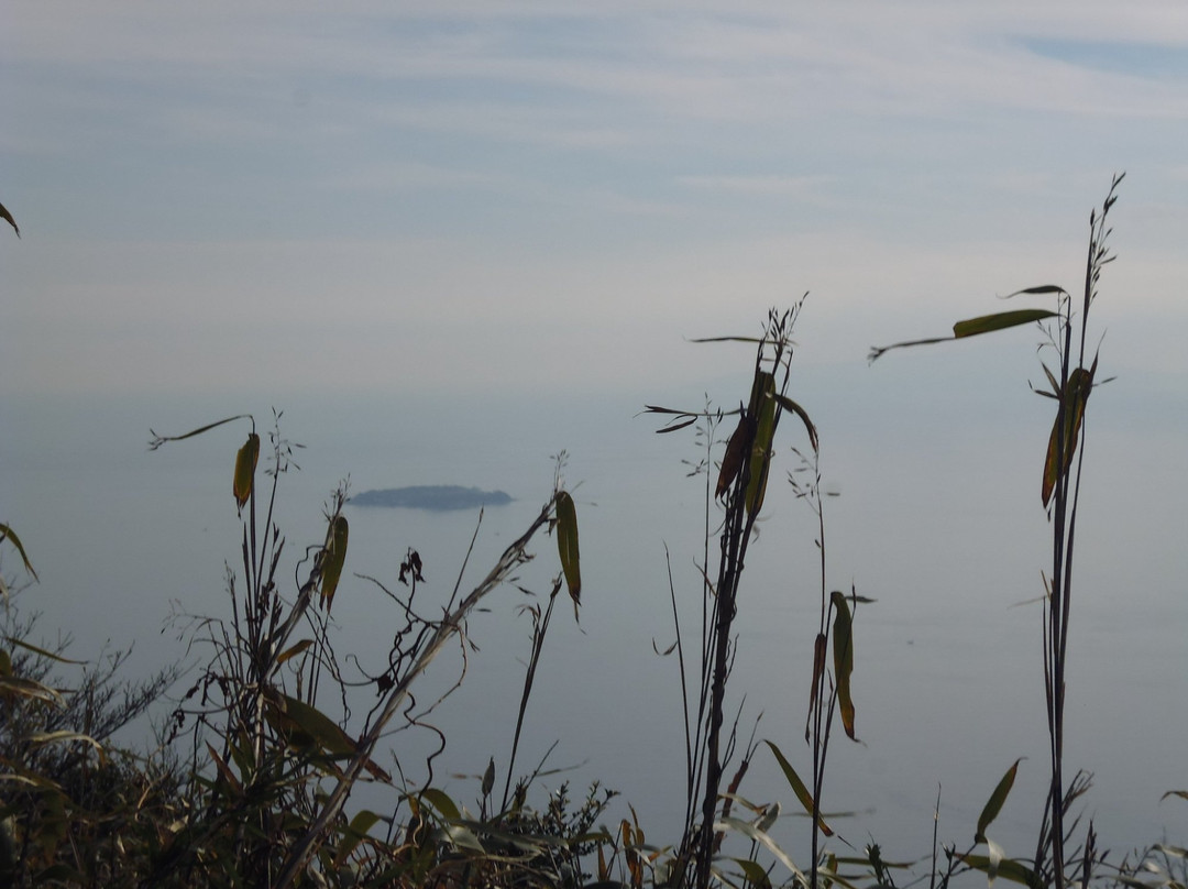 Mt. Iwato-热海市必去景点