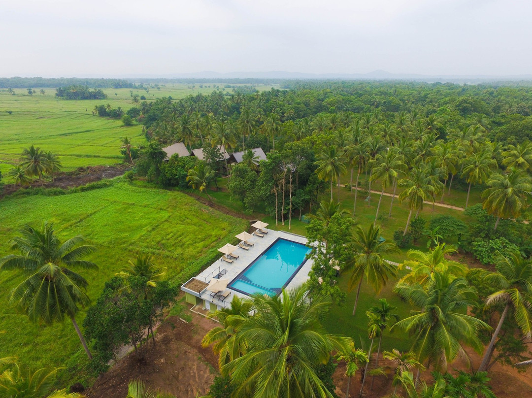波隆纳鲁瓦酒店住宿-迪达斯阿拉纳酒店