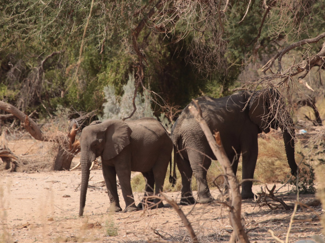 Ugab River-Khorixas必去景点