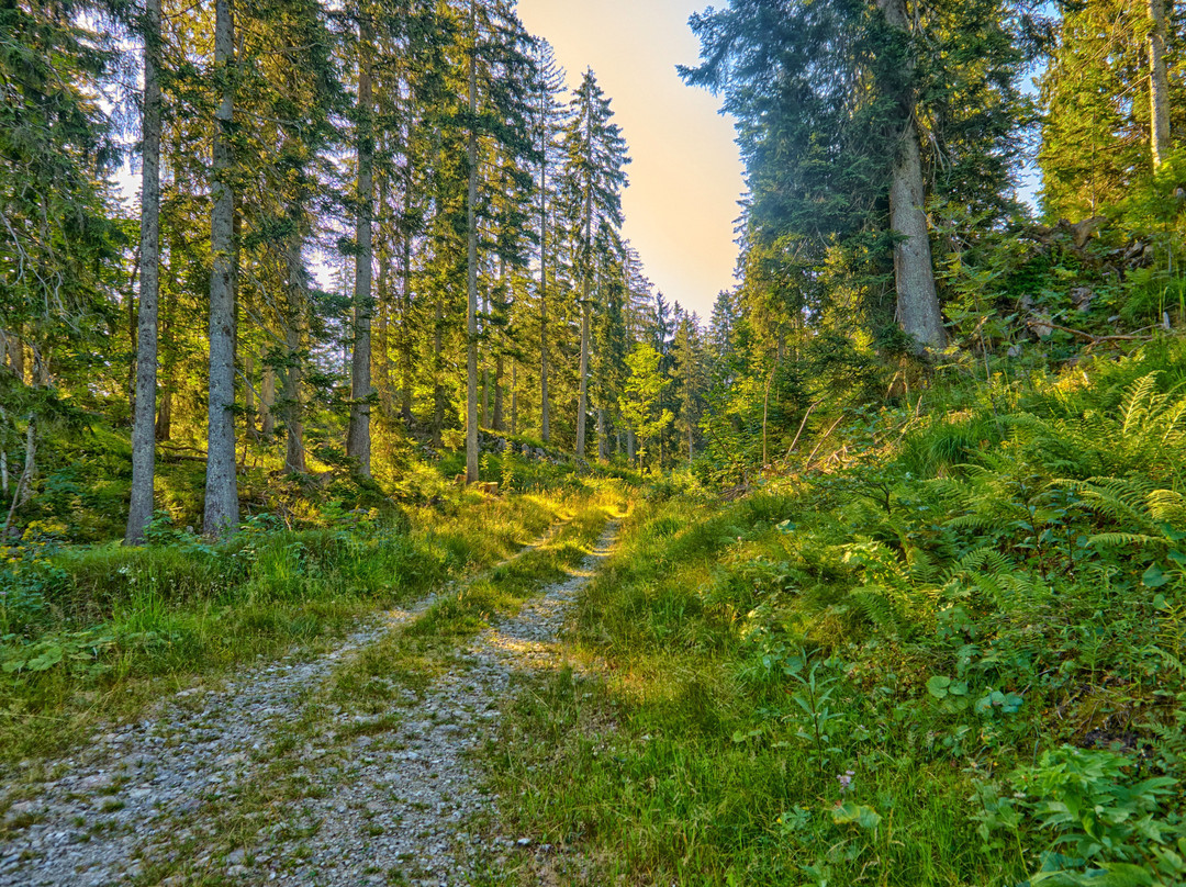 Hagertal-Koessen必去景点