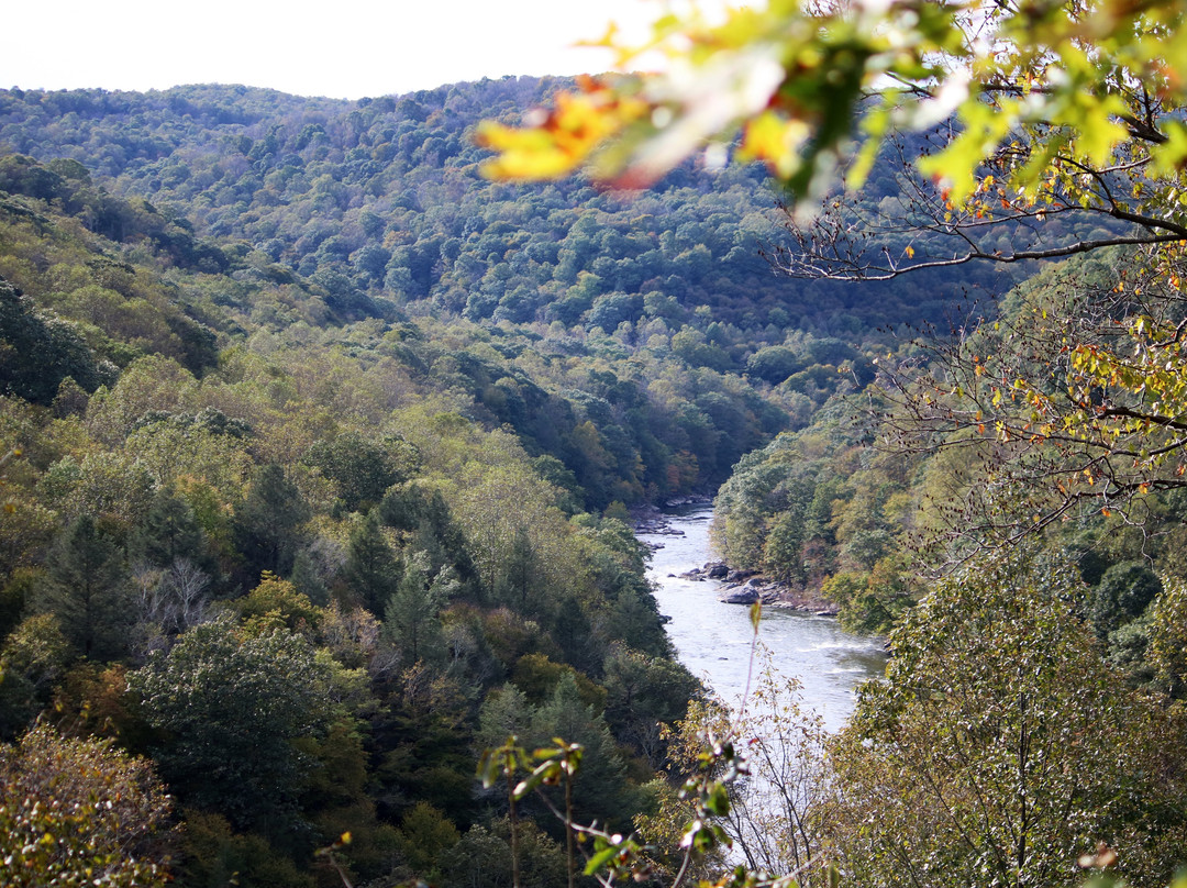 Bear Run Nature Reserve-Mill Run必去景点