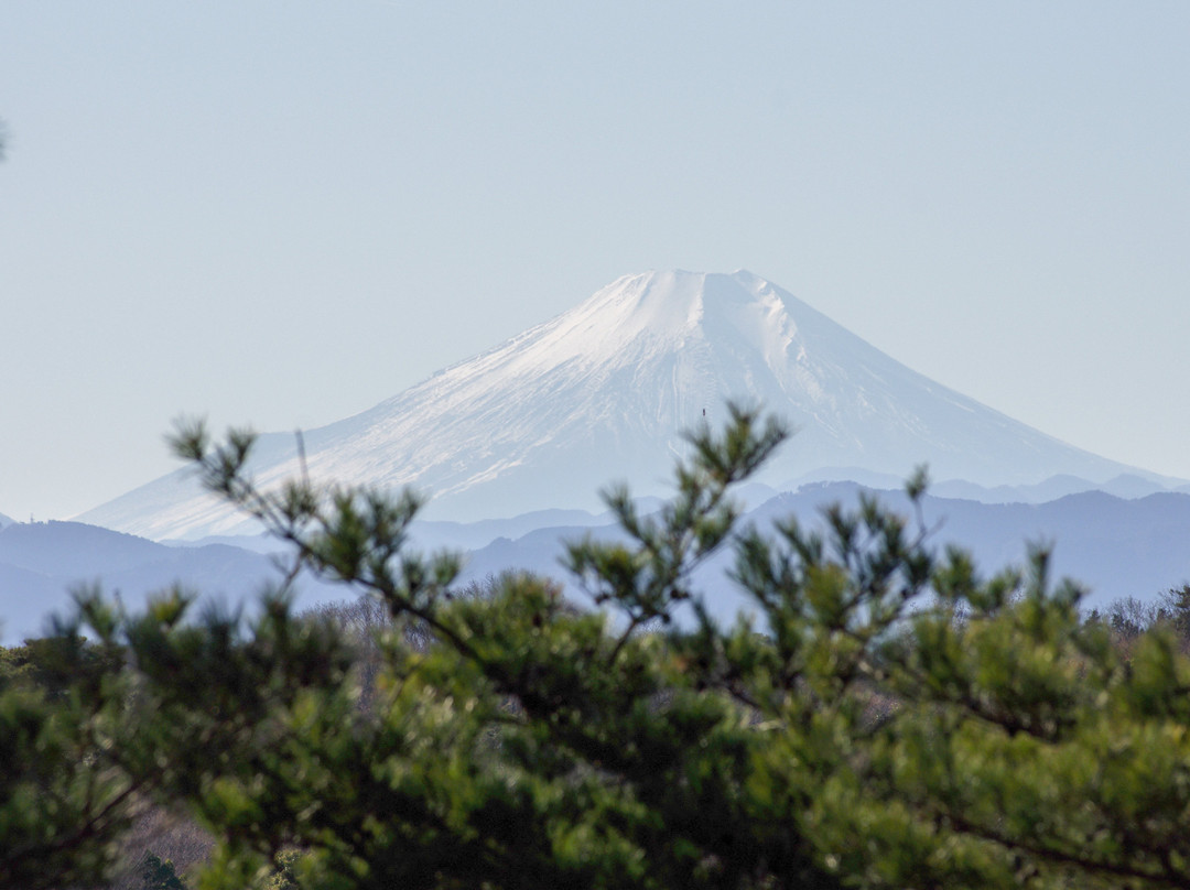 Arahata Fuji景点图片