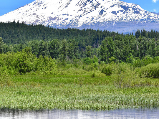 Mount Adams Buddhist Temple-Trout Lake必去景点