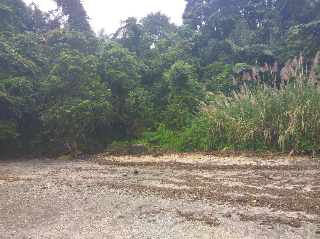 Nusa Kambangan Island-Cilacap必去景点