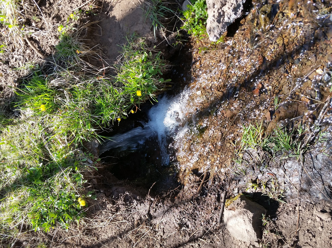 West Baldy Trail-Greer必去景点