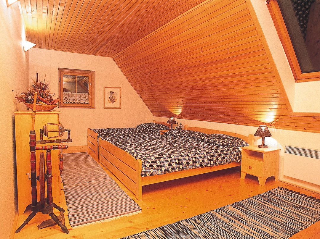 Mountain cottage Stara Horaren主图