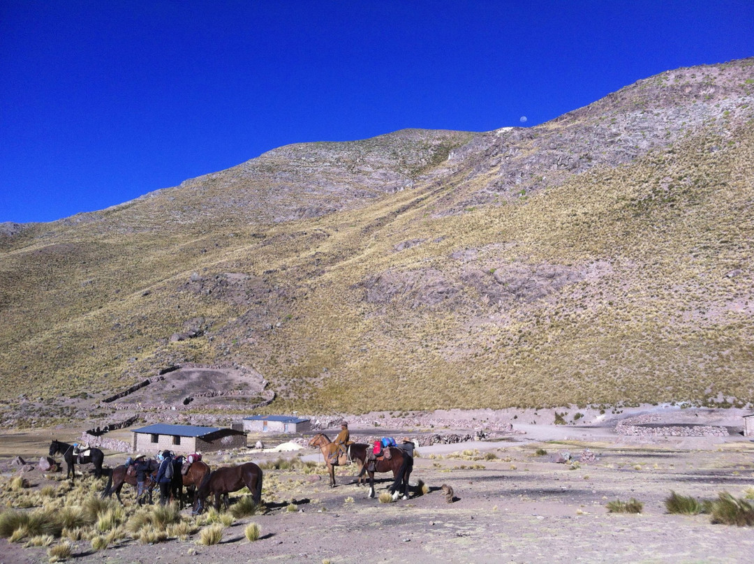 Colca Horse El Herraje-Yanque必去景点