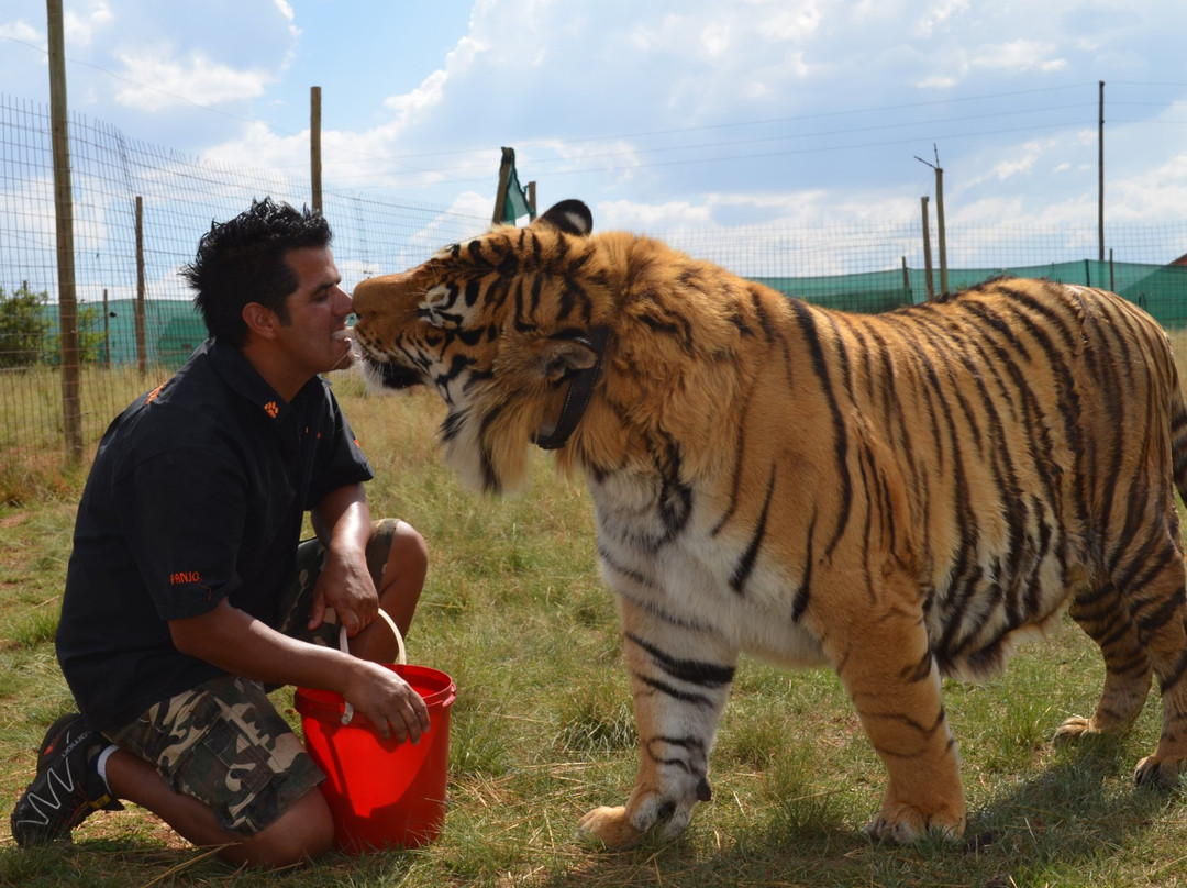 Jugomaro Predator Park-Groblersdal必去景点