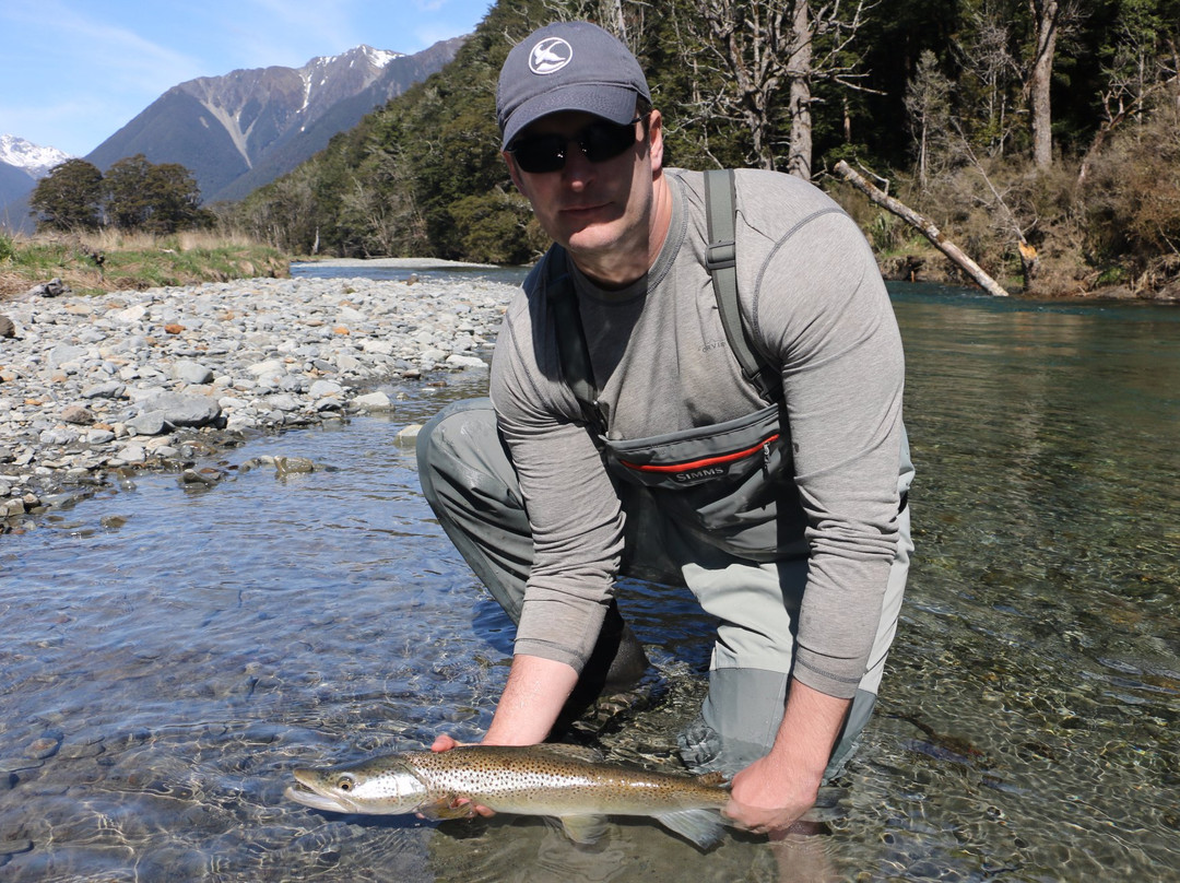New Zealand Trout Adventures-Collingwood必去景点