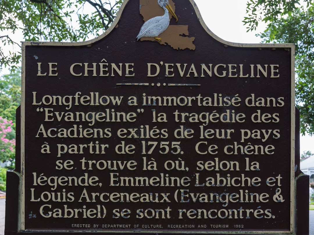 Evangeline Oak-Saint Martinville必去景点