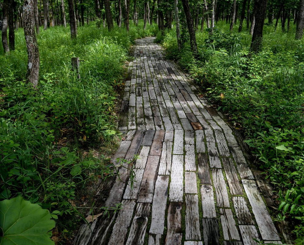 Aihara Kyuichiro Art Museum-中札内村必去景点