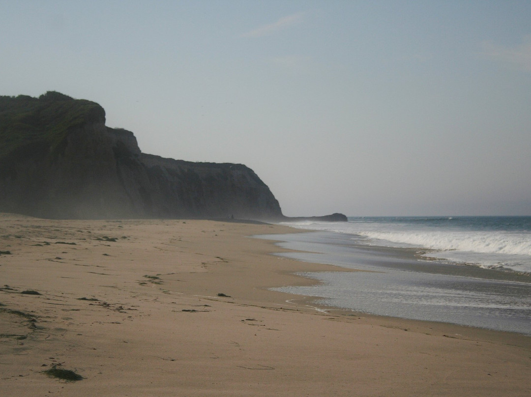 Scott Creek Beach景点图片