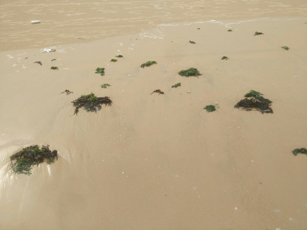 第三海水浴场-日照市必去景点