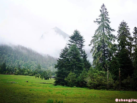 南伊沟-米林县必去景点