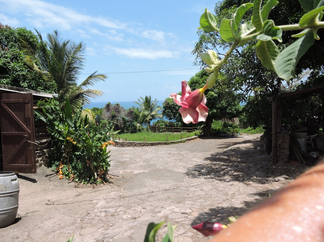 Ranch des 2 Îlets-Deshaies必去景点