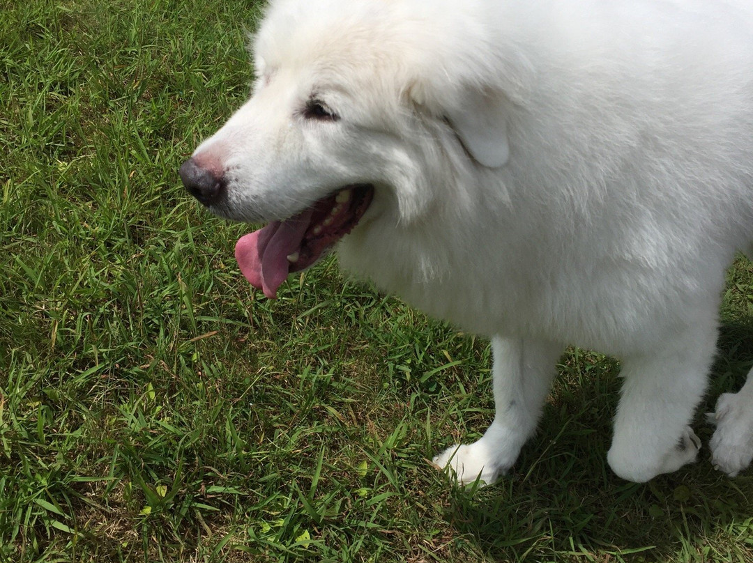 Kyukamura Chausuyama-Kogen主图