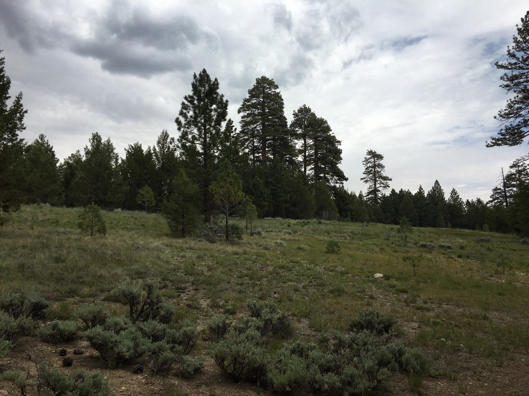 Alpine Pedal Path-大熊湖必去景点