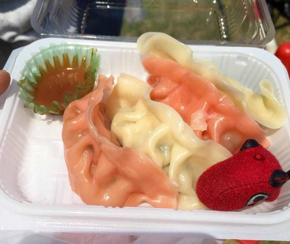 Utsunomiya Gyoza Festival-宇都宫市必去景点