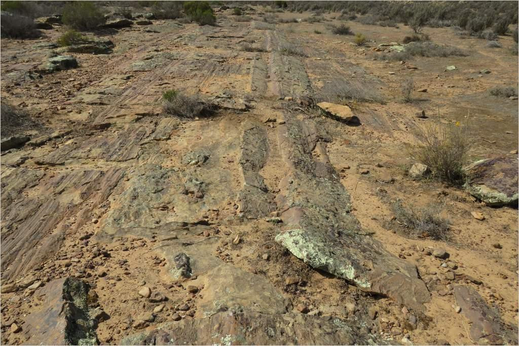 Glacial Pavement-Nieuwoudtville必去景点