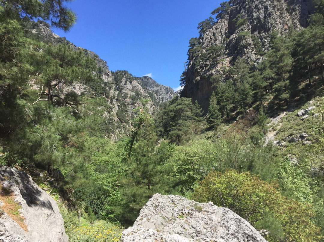 Agia Irini Gorge景点图片