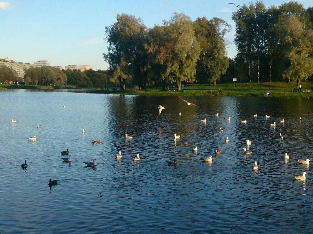 Murino旅游景点-Murinsky Park of Culture and Leisure