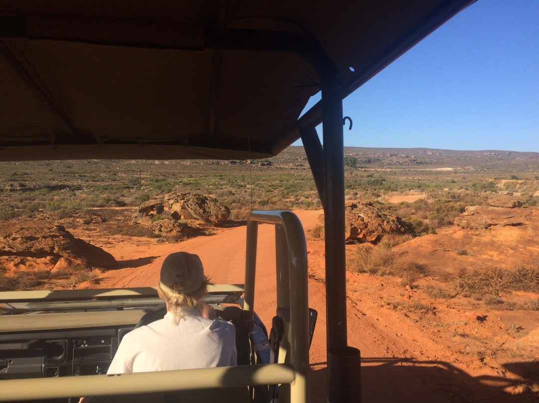 Bushmans Kloof Wilderness Reserve-西开普必去景点