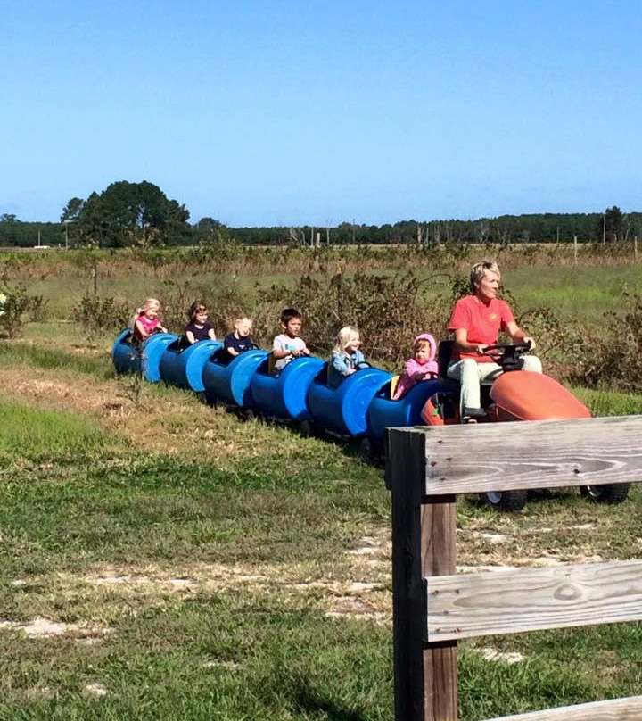 Emily’s Produce-坎布里奇必去景点