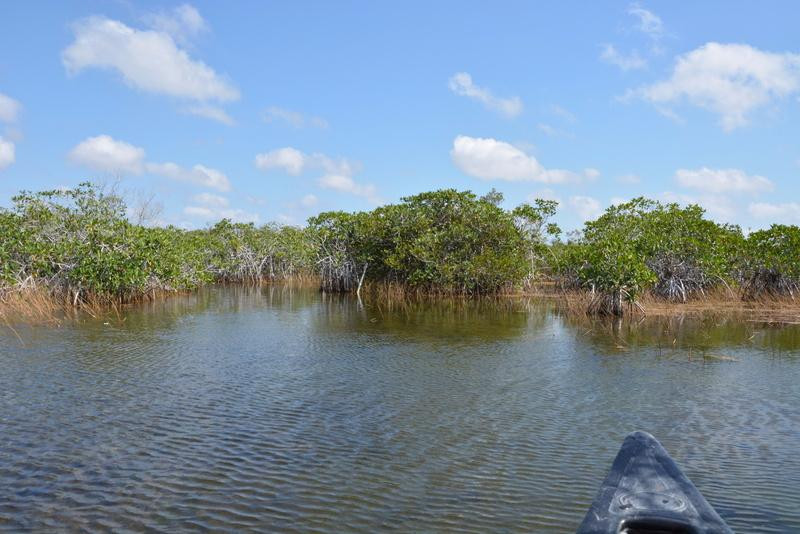 Nine Mile Pond Canoe Trail-大沼泽国家公园必去景点