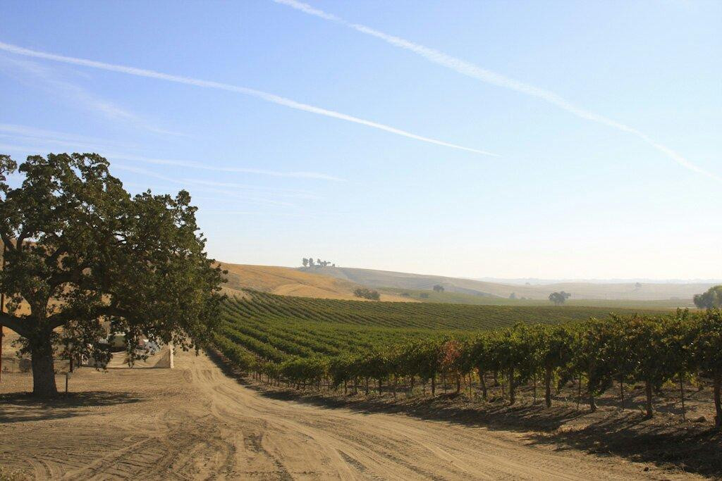 Lions Peak Vineyards-索尔万必去景点