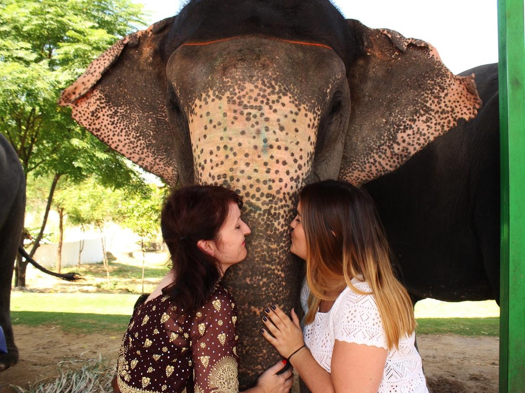 大象奇迹观光农场-斋蒲尔必去景点