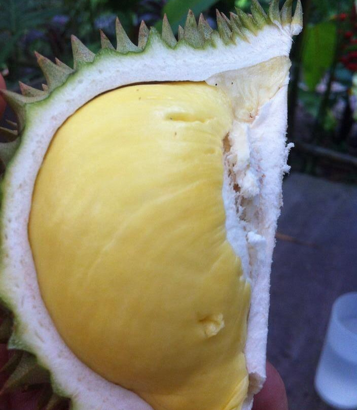 Suan Paiboon-罗勇必去景点